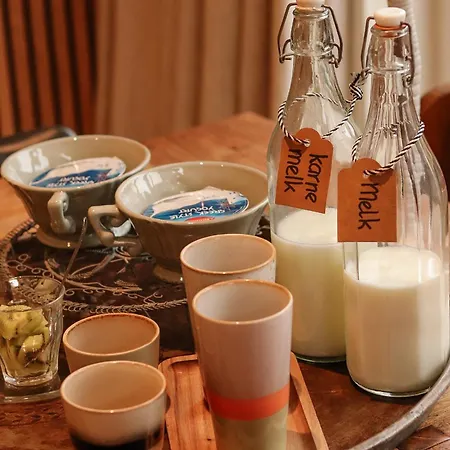 Zee-en-zo * Noordwijk